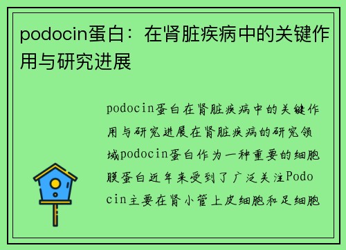 podocin蛋白：在肾脏疾病中的关键作用与研究进展